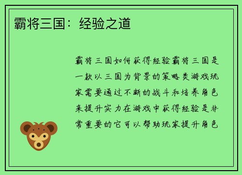 霸将三国：经验之道